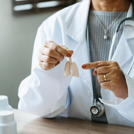 Ärztin sitzt am Schreibtisch und hält eine kleine Modelllunge in der Hand